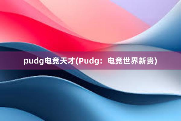 pudg电竞天才(Pudg：电竞世界新贵)