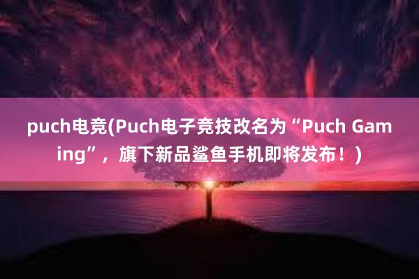 puch电竞(Puch电子竞技改名为“Puch Gaming”，旗下新品鲨鱼手机即将发布！)