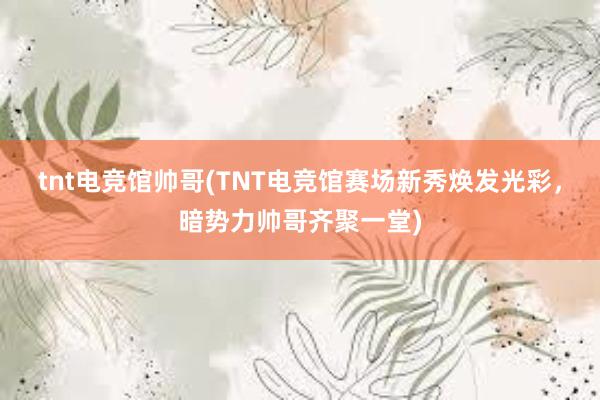 tnt电竞馆帅哥(TNT电竞馆赛场新秀焕发光彩，暗势力帅哥齐聚一堂)