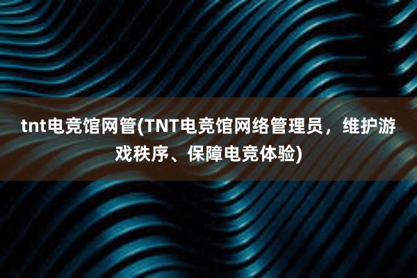 tnt电竞馆网管(TNT电竞馆网络管理员，维护游戏秩序、保障电竞体验)