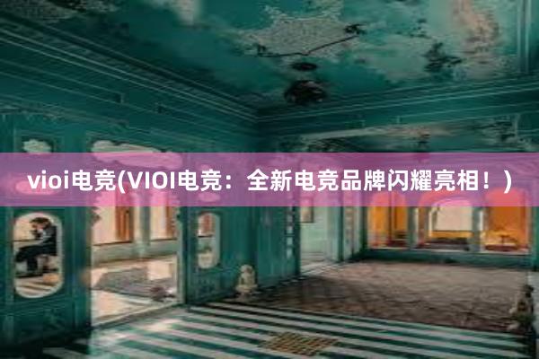 vioi电竞(VIOI电竞：全新电竞品牌闪耀亮相！)