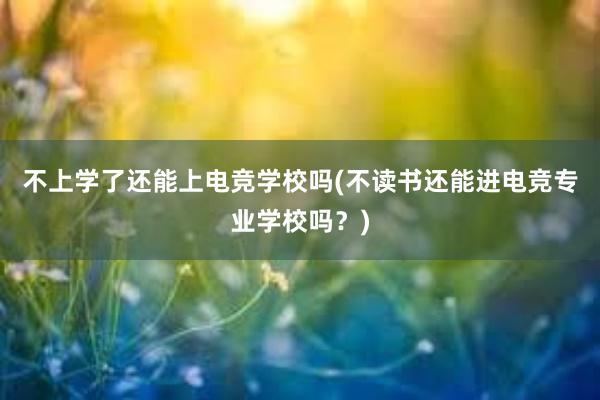 不上学了还能上电竞学校吗(不读书还能进电竞专业学校吗？)