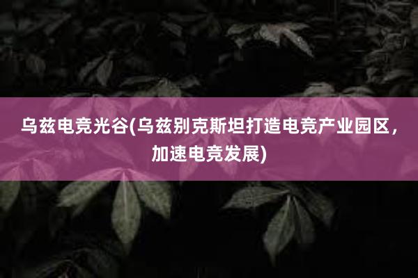 乌兹电竞光谷(乌兹别克斯坦打造电竞产业园区，加速电竞发展)