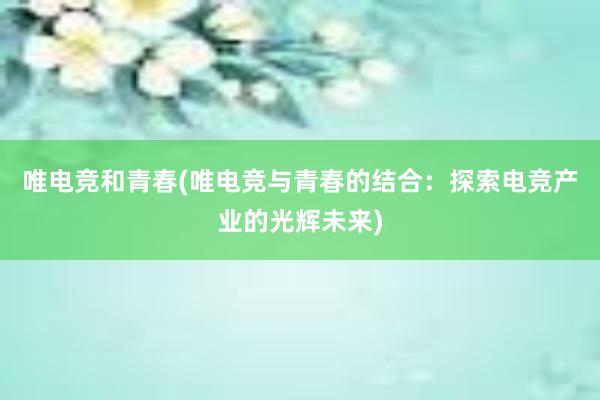 唯电竞和青春(唯电竞与青春的结合：探索电竞产业的光辉未来)