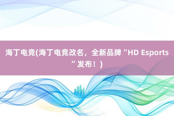 海丁电竞(海丁电竞改名，全新品牌“HD Esports”发布！)