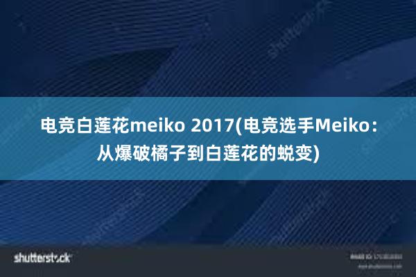 电竞白莲花meiko 2017(电竞选手Meiko：从爆破橘子到白莲花的蜕变)