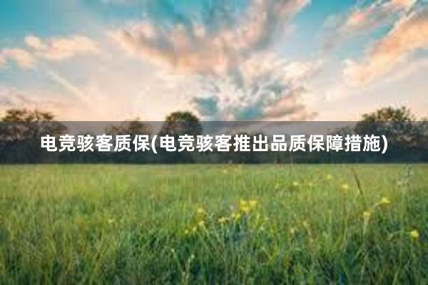 电竞骇客质保(电竞骇客推出品质保障措施)