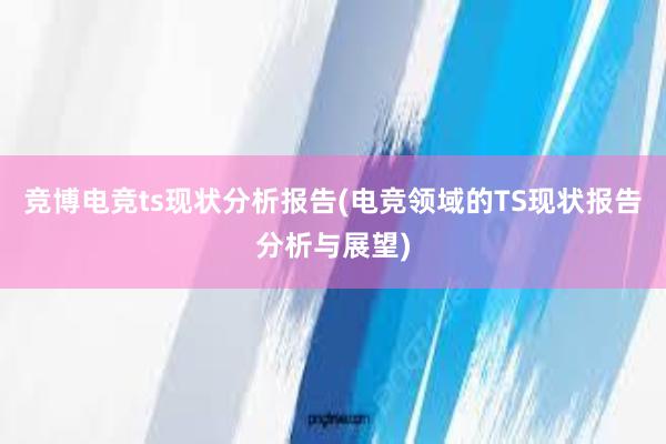 竞博电竞ts现状分析报告(电竞领域的TS现状报告分析与展望)