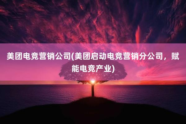 美团电竞营销公司(美团启动电竞营销分公司，赋能电竞产业)