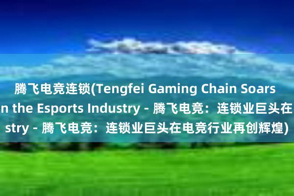 腾飞电竞连锁(Tengfei Gaming Chain Soars to New Heights in the Esports Industry - 腾飞电竞：连锁业巨头在电竞行业再创辉煌)