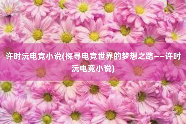 许时沅电竞小说(探寻电竞世界的梦想之路——许时沅电竞小说)