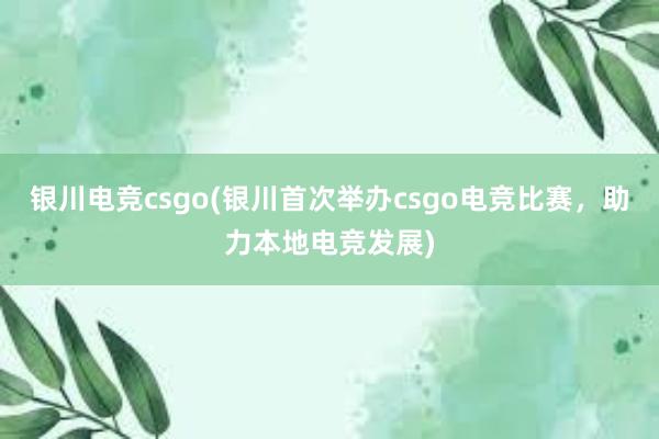 银川电竞csgo(银川首次举办csgo电竞比赛，助力本地电竞发展)