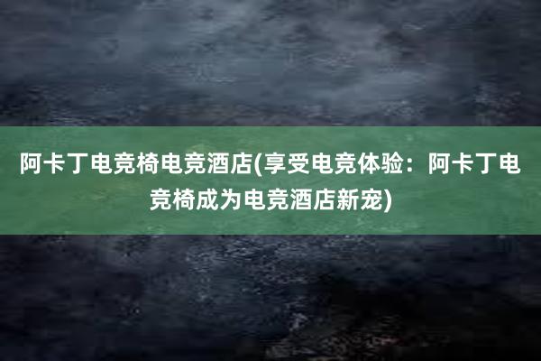 阿卡丁电竞椅电竞酒店(享受电竞体验：阿卡丁电竞椅成为电竞酒店新宠)