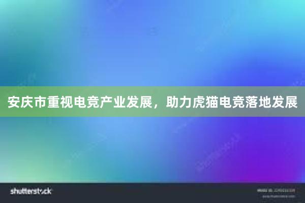 安庆市重视电竞产业发展，助力虎猫电竞落地发展