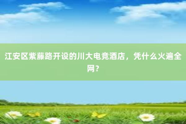 江安区紫藤路开设的川大电竞酒店，凭什么火遍全网？