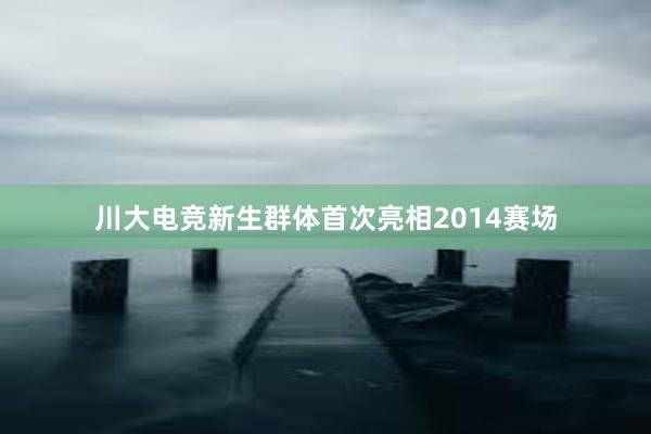 川大电竞新生群体首次亮相2014赛场