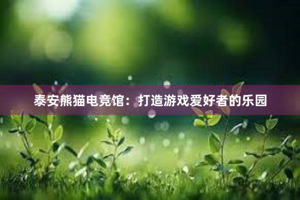 泰安熊猫电竞馆：打造游戏爱好者的乐园