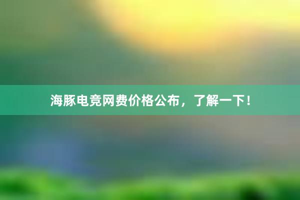 海豚电竞网费价格公布，了解一下！