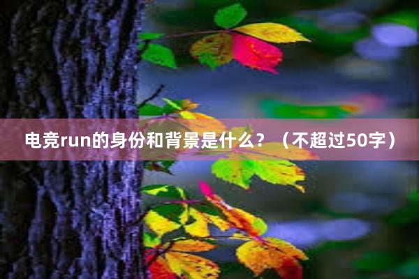 电竞run的身份和背景是什么？（不超过50字）