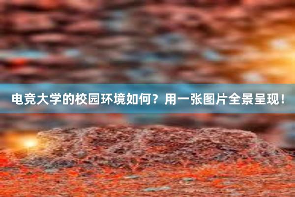 电竞大学的校园环境如何？用一张图片全景呈现！