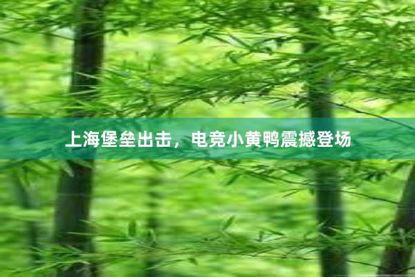 上海堡垒出击，电竞小黄鸭震撼登场