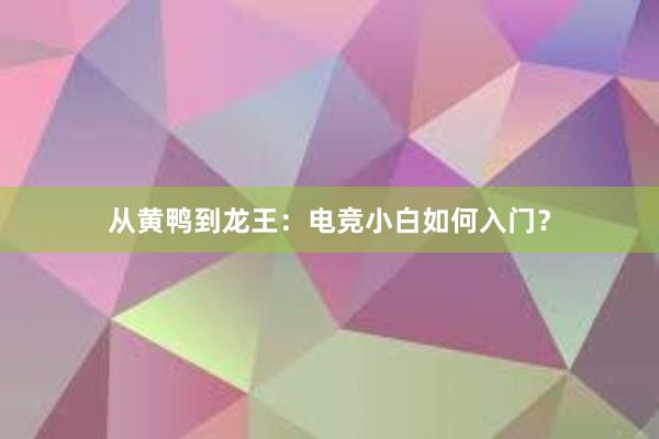 从黄鸭到龙王：电竞小白如何入门？