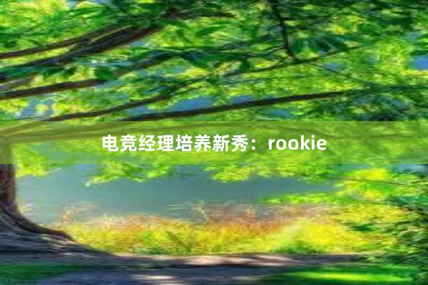 电竞经理培养新秀：rookie